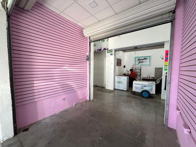 Foto de la galeria de imagenes