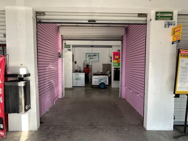 Foto de la galeria de imagenes