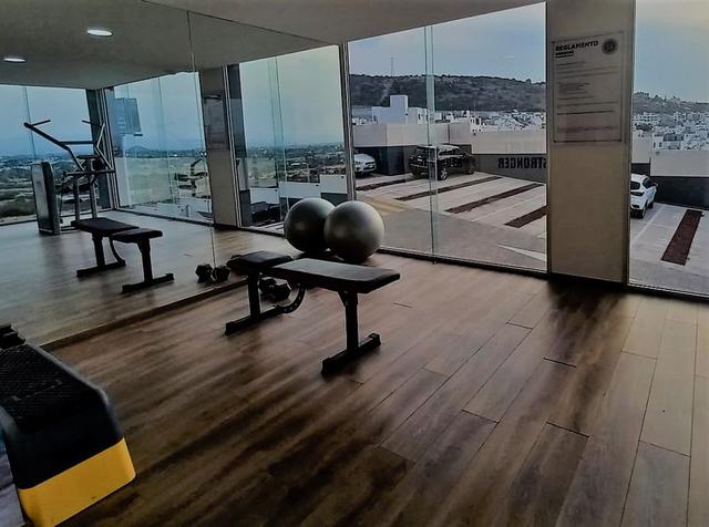 Foto de la galeria de imagenes