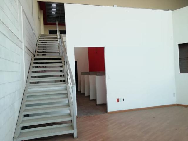 Foto de la galeria de imagenes